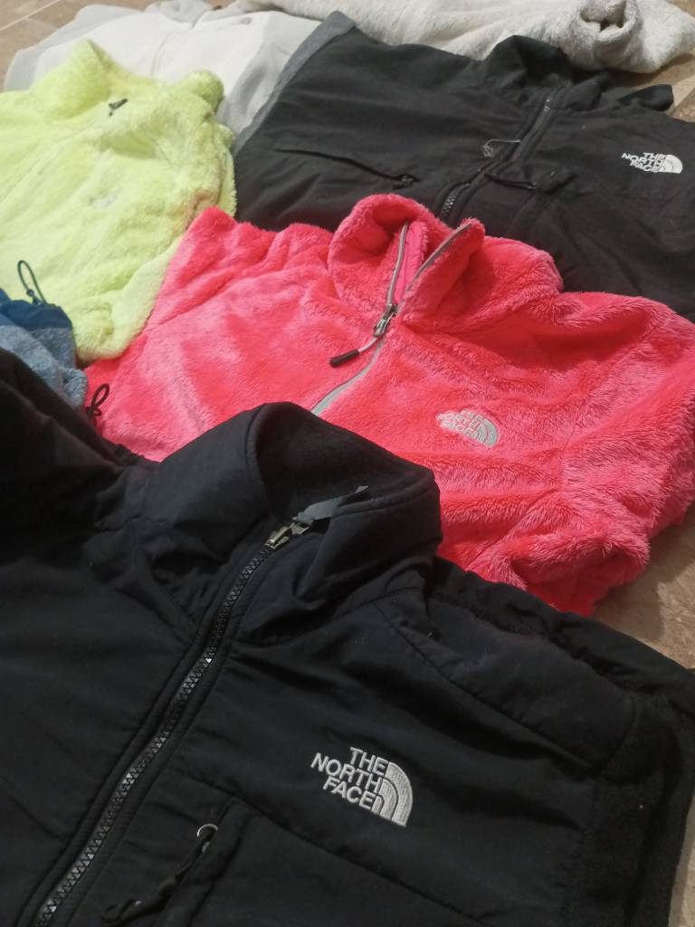 The north face jacket fleece