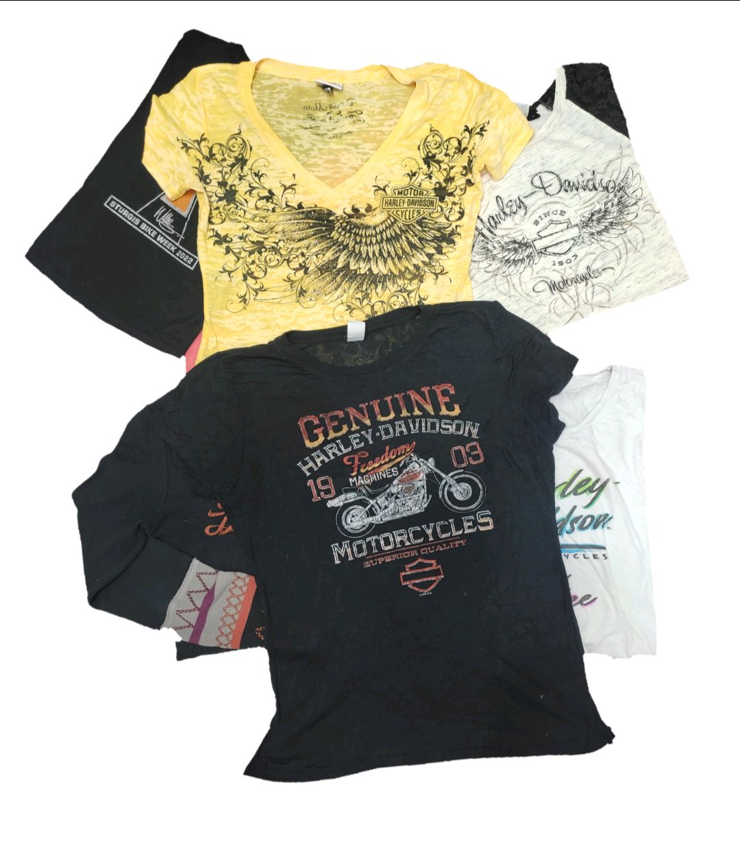 Harley Davidson woman T-shirt 25 Piece's