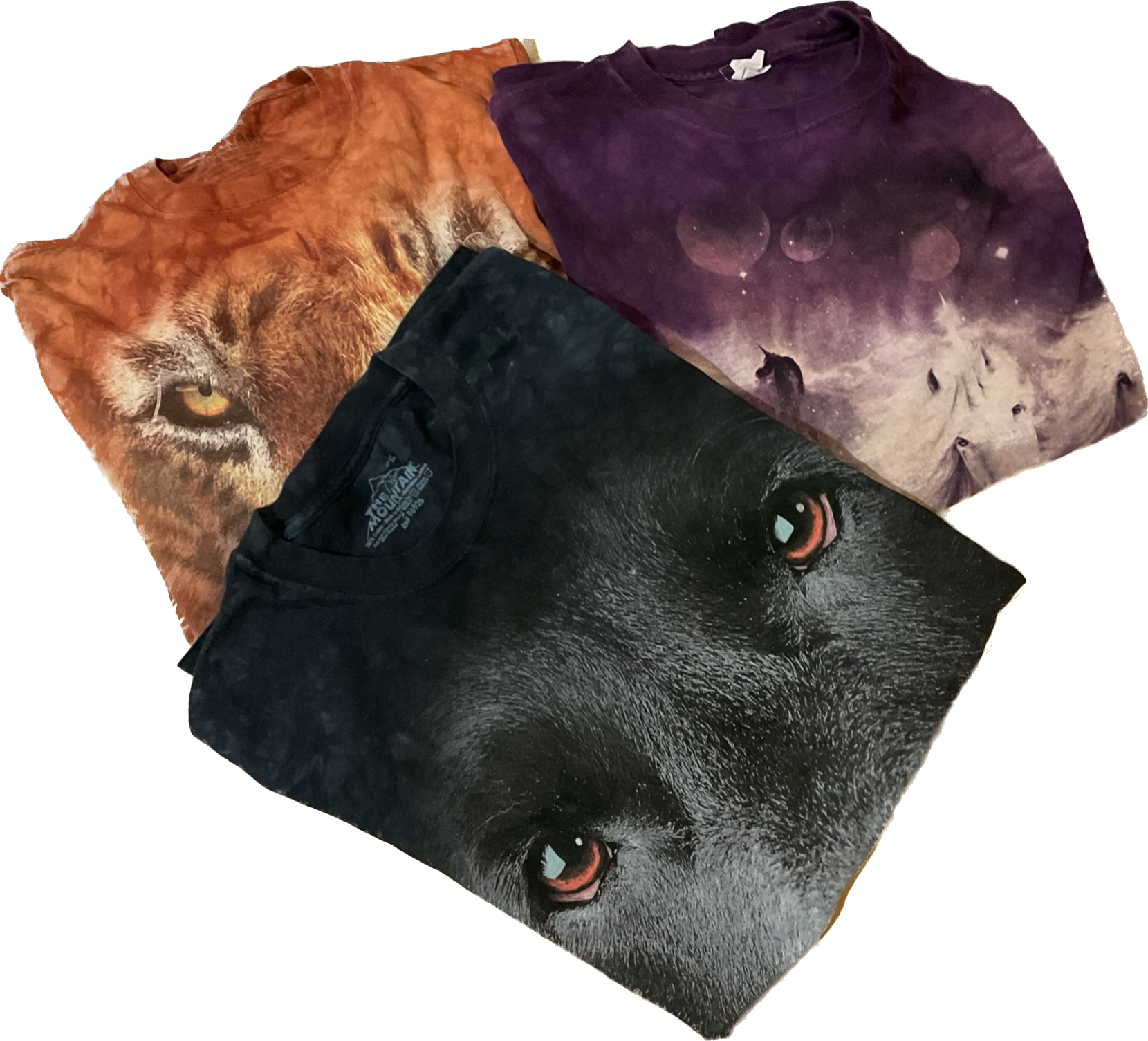 Animal Print Tshirts