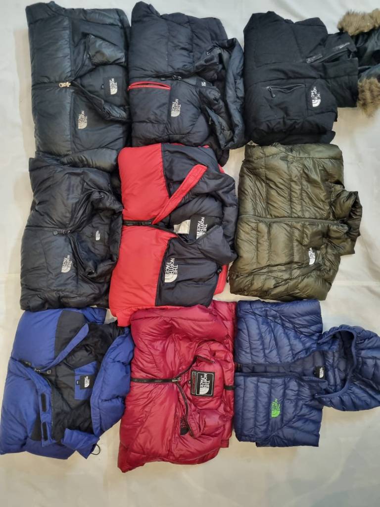 The North Face Puffer Jackets 700 nuptse & Summit Series